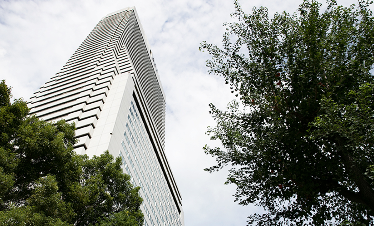 Company Profile Management Company Limited(CMK)