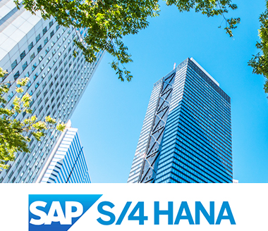 大企業向けSAP S/4 HANAおよび従来型ERP